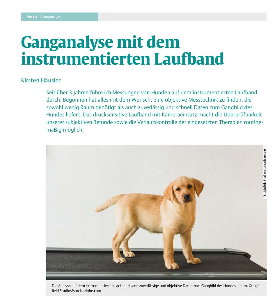 Ganganalyse mit dem instrumentierten Laufband